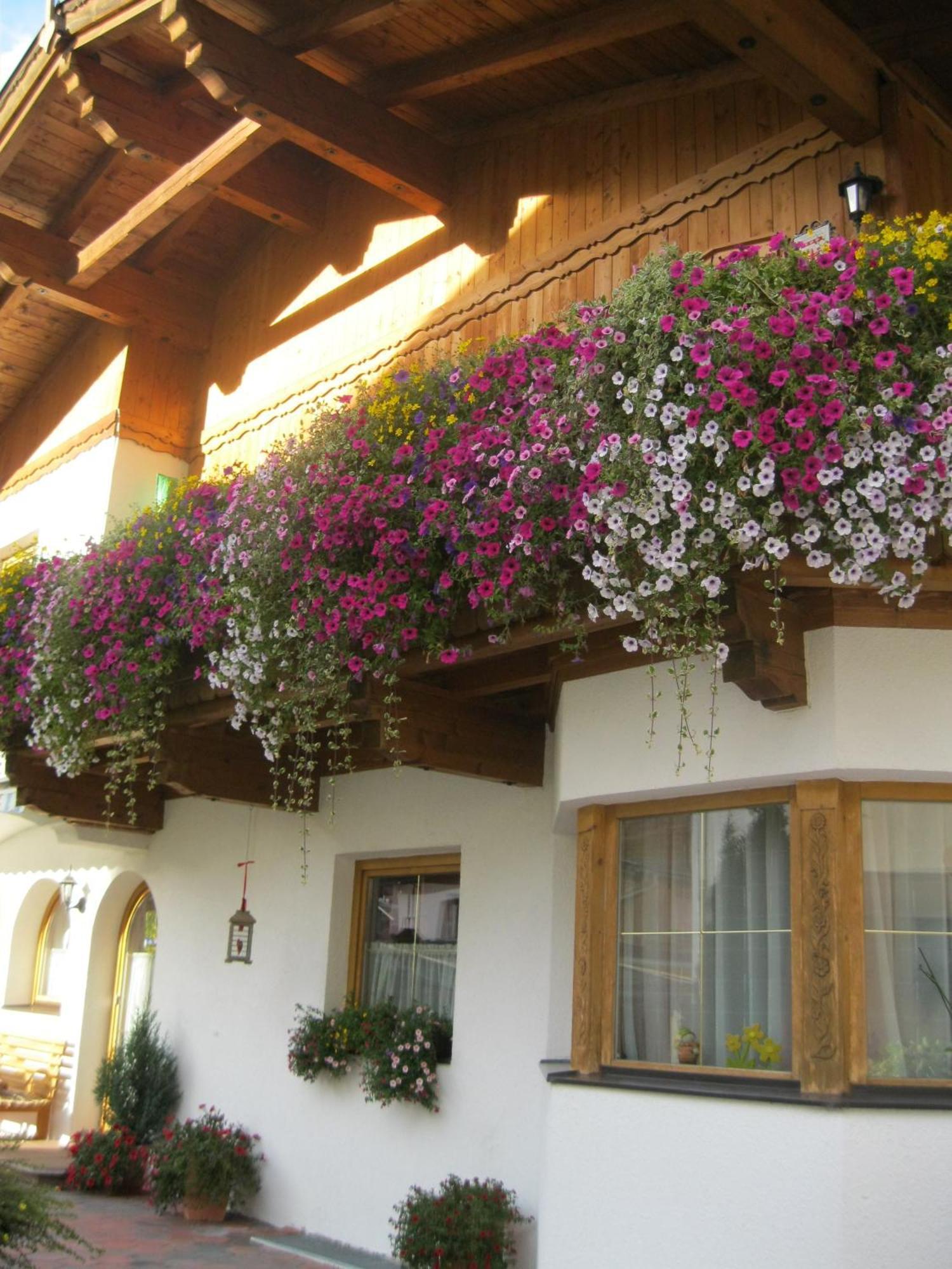 Haus Reiterer Leilighet Neustift im Stubaital Eksteriør bilde